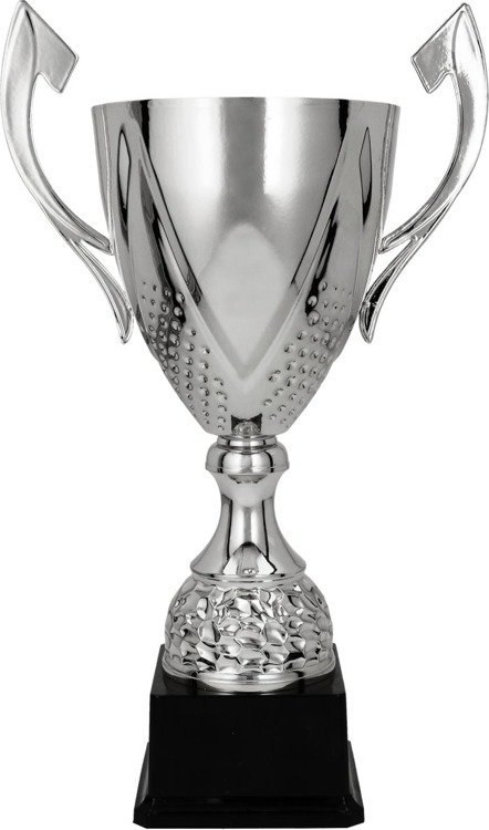 Puchar metalowy srebrny 3134