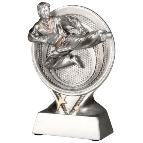Statuetka Odlewana - Karate - RS1601