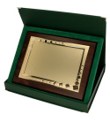 Etui na dyplom - Zielone BTY/GN