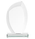 Trofeum Szklane z Etui G010