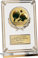 Trofeum plastikowe - Ogólne 50161/G