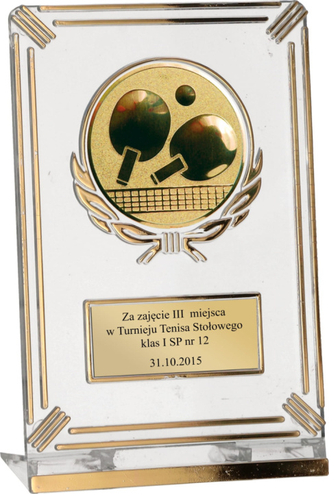 Trofeum plastikowe - Ogólne 50161/G
