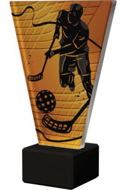 Trofeum szklane - Unihokej VL1/UNI/BK