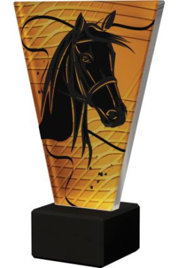 Trofeum szklane - Jeździectwo VL1/HOR/BK