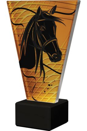 Trofeum szklane - Jeździectwo VL1/HOR/BK Trofeum szklane - Jeździectwo VL1/HOR/BK