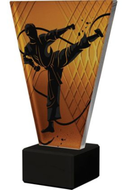 Trofeum szklane - Karate VL1/KAR/BK