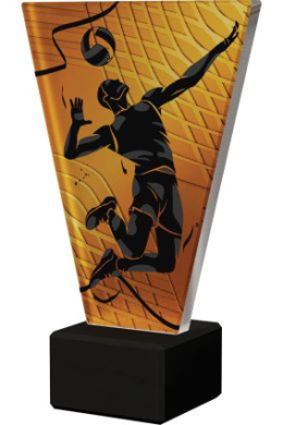 Trofeum szklane - Siatkówka VL1/VOL/BK