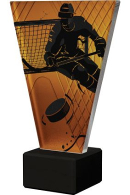 Trofeum szklane - Hokej VL1/HOC2/BK